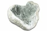 Lustrous Celestine (Celestite) Geode Section - Sharp Crystals! #346960-2